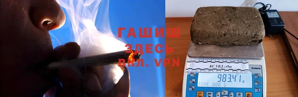 стаф Алзамай
