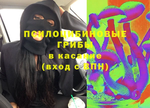 стаф Алзамай