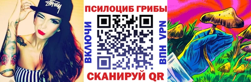 Псилоцибиновые грибы Psilocybine cubensis  Рыльск 